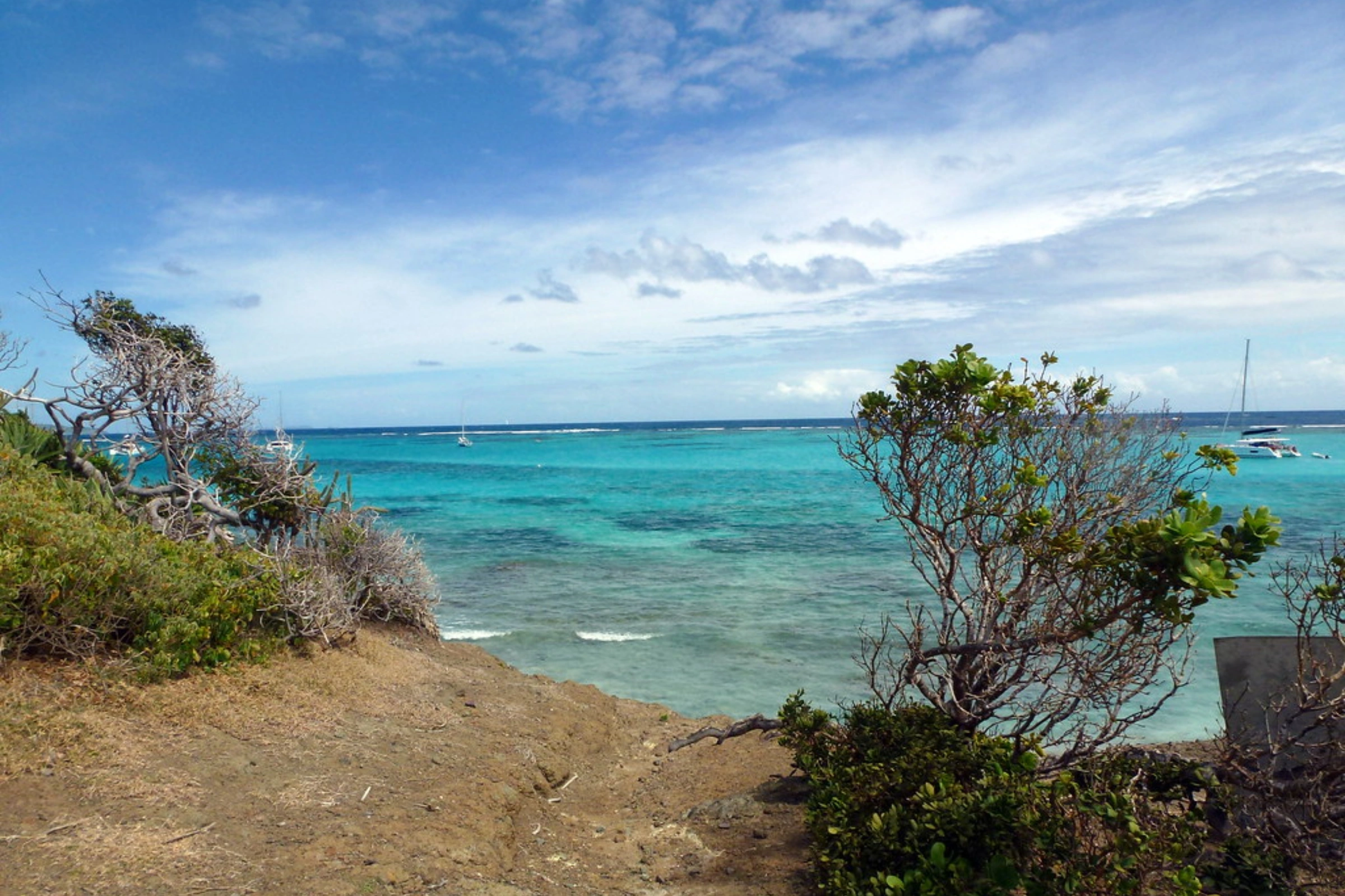 14_Petit_Rameau_Island[1].webp